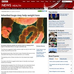 Inherited bugs may help weight loss