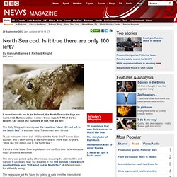 North Sea cod: Is it true there are only 100 left?