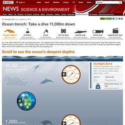 Ocean trench: Take a dive 11,000m down
