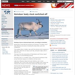 Reindeer body clock switched off