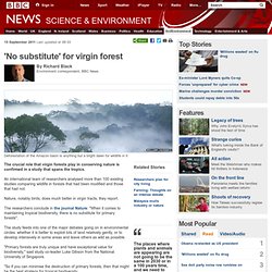 'No substitute' for virgin forest
