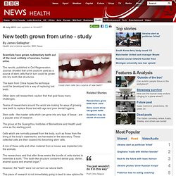 New teeth grown from urine - study