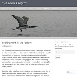 News – The Loon Project