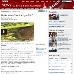 Water voles 'decline by a fifth'