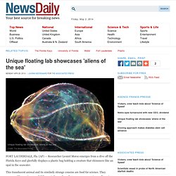 Unique floating lab showcases 'aliens of the sea'
