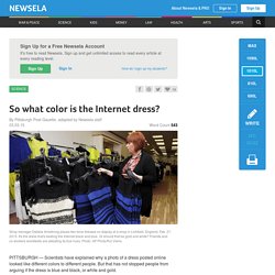 So what color is the Internet dress?