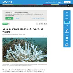 Coral reefs are sensitive to warming waters