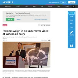 Farmers weigh in on undercover video at Wisconsin dairy
