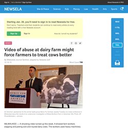 Video of abuse at dairy farm might force farmers to treat cows better