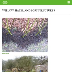 Sarah Newton Garden Design » Willow, hazel and soft structures