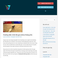 Hướng dẫn chơi đá gà online thắng lớn - Thông tin tổng hợp nhà cái V7