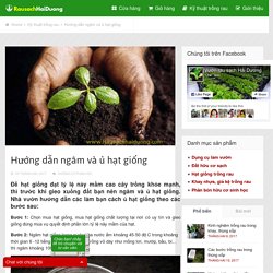 Hướng dẫn ngâm và ủ hạt giống – RausachHaiduong.com
