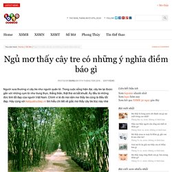 Ngủ mơ thấy cây tre có những ý nghĩa điềm báo gì