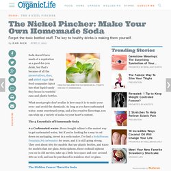 The Nickel Pincher: Make Your Own Homemade Soda
