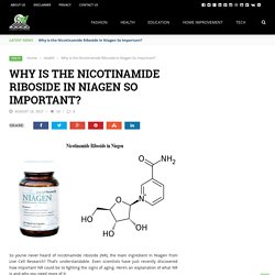 Why is this Nicotinamide Riboside in Niagen so important?