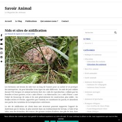 Nids et sites de nidification » Savoir Animal