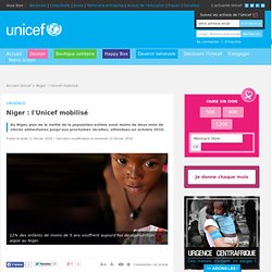 Niger : l&#039;Unicef mobilisé