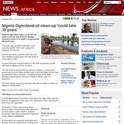 Nigeria Ogoniland oil clean-up 'could take 30 years'