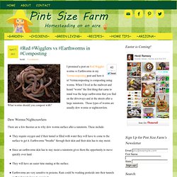 Red Wiggler Worms vs. Nightcrawler Earthworms