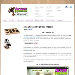 Nina Ottosson Wooden Dog Brick - Dog Puzzle