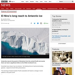 El Nino's long reach to Antarctic ice