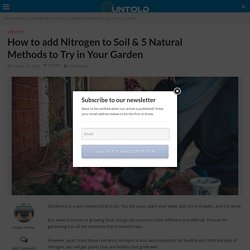 How to add Nitrogen to Soil & 5 Natural Methods to Try in Your Garden
