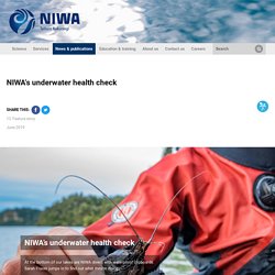NIWA's underwater health check