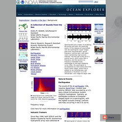 Ocean Explorer: Sounds in the Sea 2001