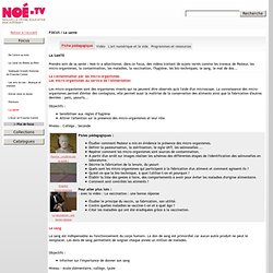 Noé-TV