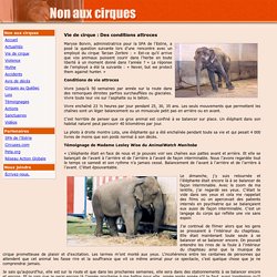 Non aux cirques : Vie de cirque