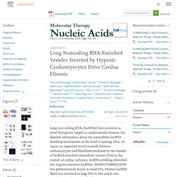 Long Noncoding RNA-Enriched Vesicles Secreted by Hypoxic Cardiomyocytes Drive Cardiac Fibrosis