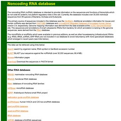 Noncoding RNA database
