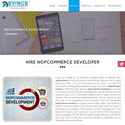 Custom nopCommerce web design & development company