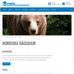 Nordiska däggdjur - Svenska Djurskyddsföreningen