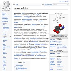 Norepinephrine