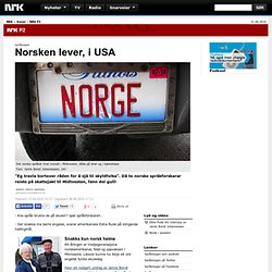 Norsken lever, i USA - NRK P2