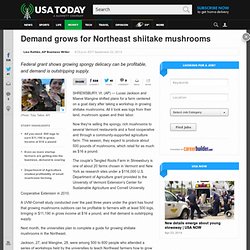Demand grows for Northeast shiitake mushrooms