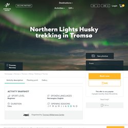 Northern Lights Husky trekking in Tromsø