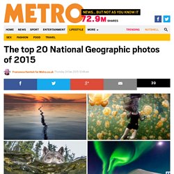 Baby whales & the Northern Lights: National Geographic's top 20 photos of 2015