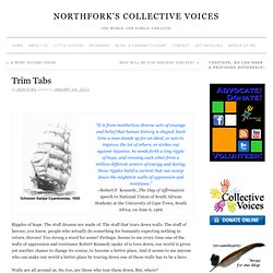 Collective Voices