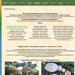 Mushroaming - Daniel Winkler's Webpages Dedicated to Mushrooms and Nature Tours