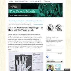 Notes on Anatomy and Physiology: The Hand and The Tiger’s Mouth
