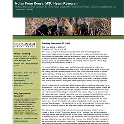 MSU Hyena Research: Are you going to eat that?