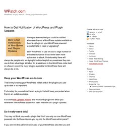 How to Get Notification of WordPress and Plugin Updates
