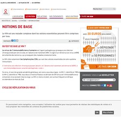 VIH - notions de base