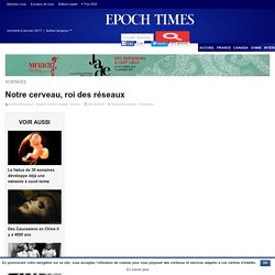 Notre cerveau, roi des réseaux – Epoch Times