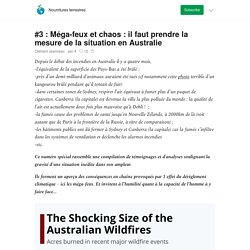 #3 : Méga-feux et chaos : il faut prendre la mesure de la situation en Australie - Nourritures terrestres