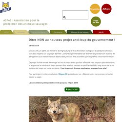Dites NON au nouveau projet anti-loup du gouvernement !