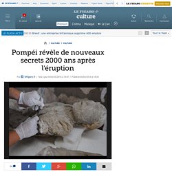 Pompéi révèle de nouveaux secrets 2000 ans après l'éruption