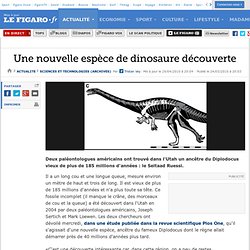 Sciences et Technologies : Une nouvelle espèce de dinosaure découverte